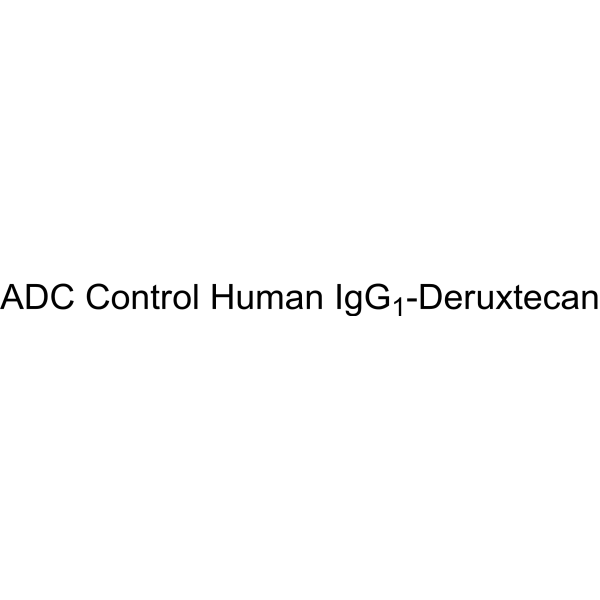 ADC Control Human IgG1-Deruxtecan